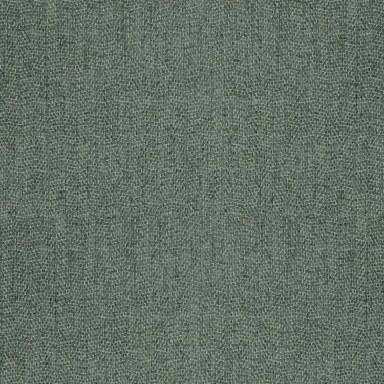 Fabric Image