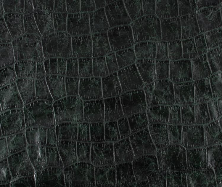 Fabric Image